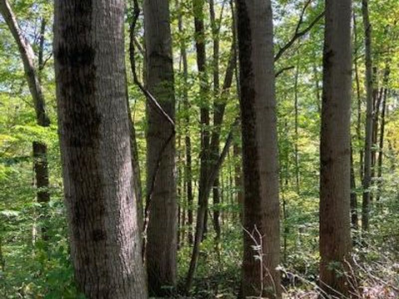 3228 Chillicothe Lancaster Road SW, Lancaster, OH 43130 Photo 2