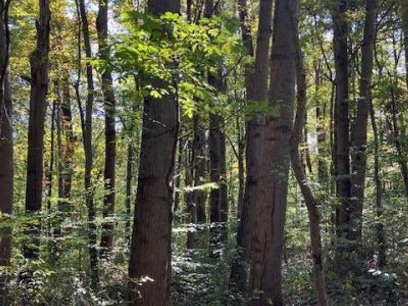 3228 Chillicothe Lancaster Road SW, Lancaster, OH 43130 Photo 3