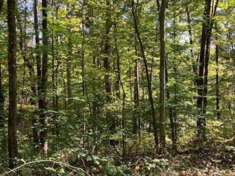 3228 Chillicothe Lancaster Road SW, Lancaster, OH 43130 Photo 4