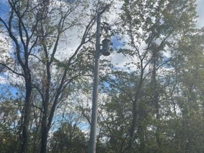 3228 Chillicothe Lancaster Road SW, Lancaster, OH 43130 Photo 5