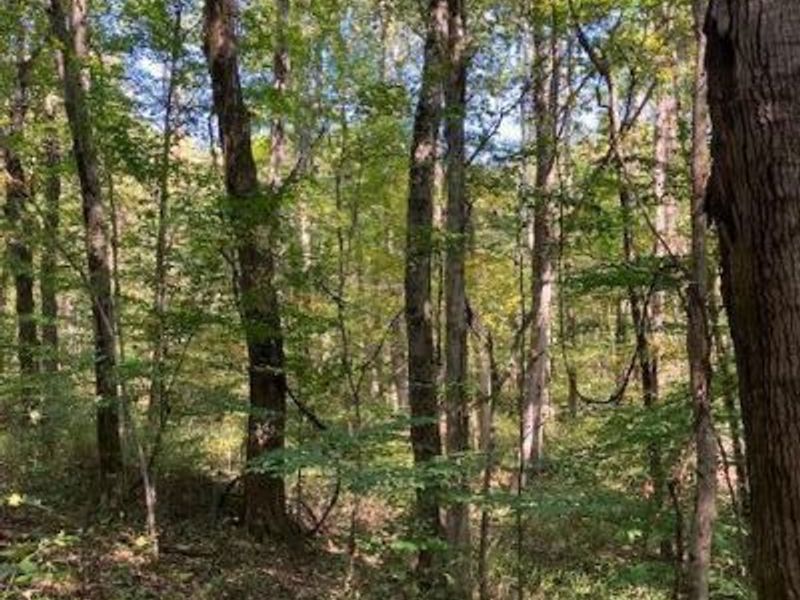 3228 Chillicothe Lancaster Road SW, Lancaster, OH 43130 Photo 6