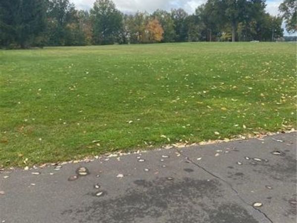 Milton Avenue, Lake Milton, OH 44429