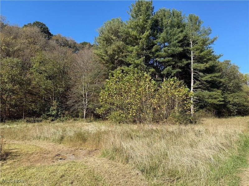 4085 Cannelville Road, Roseville, OH 43777 Photo 11