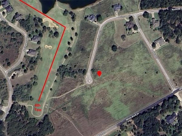 22022 Raintree Court, Whitney, TX 76692