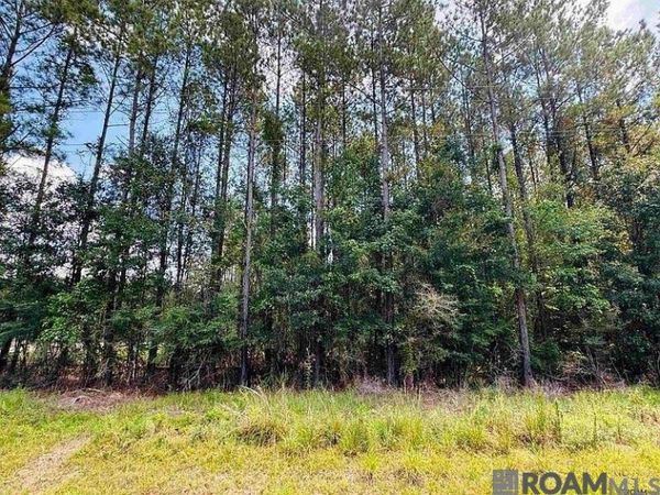 Lot 4 La Hwy 449, Pine Grove, LA 70453