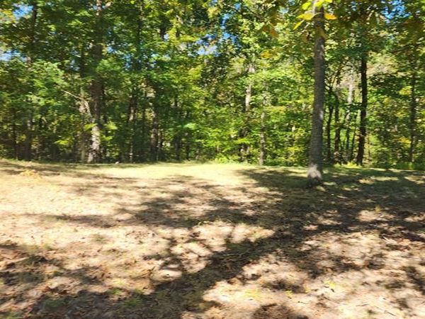 000 Clydesdale Circle, Camden, TN 38320