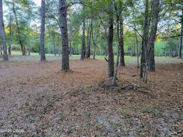 0000 Hardwood Lane, Ponce De Leon, FL 32455