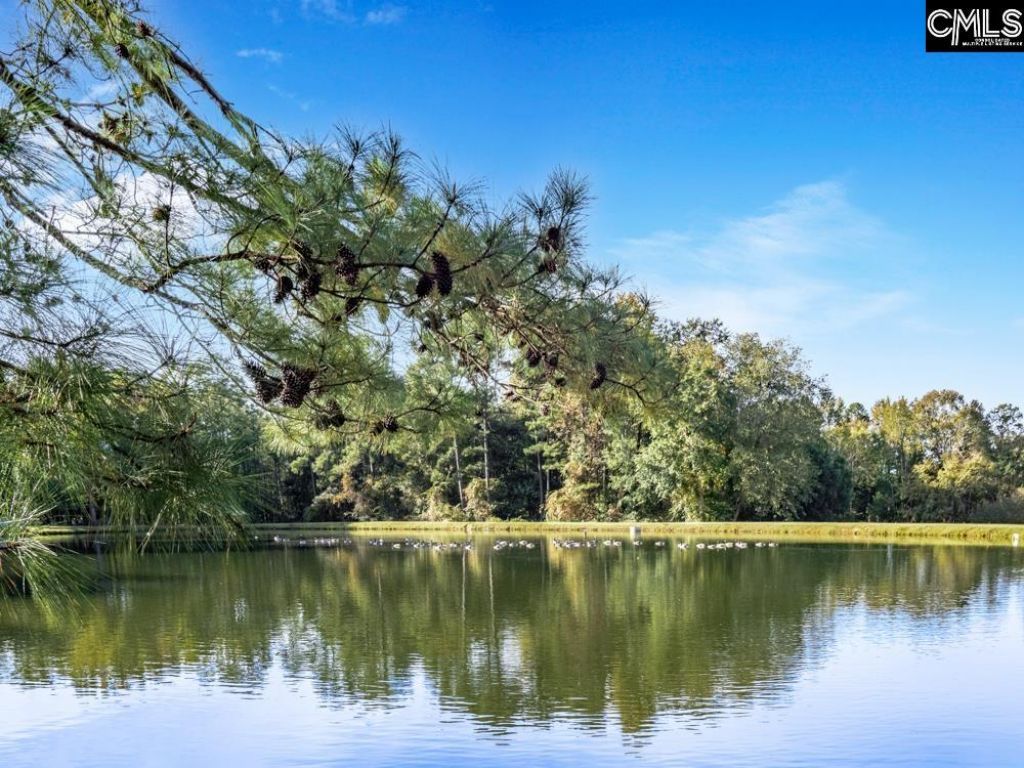 6674 Francis Marion Avenue Photo 41