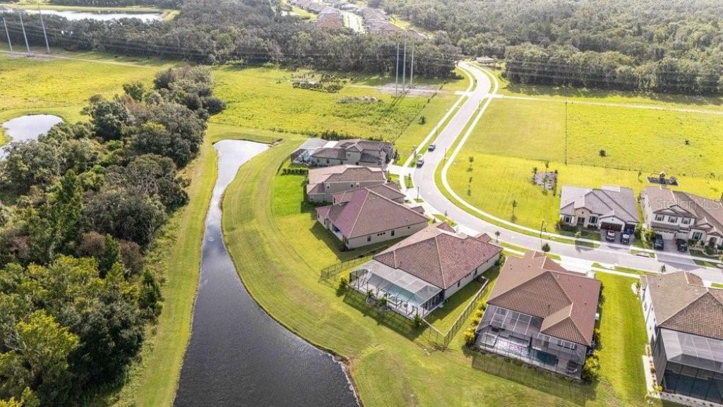 14288 Swiss Bridge Drive, Riverview, FL 33579 Photo