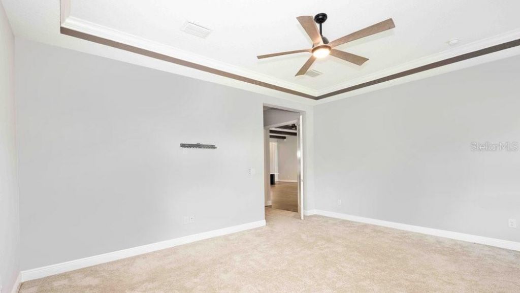 14288 Swiss Bridge Drive, Riverview, FL 33579 Photo