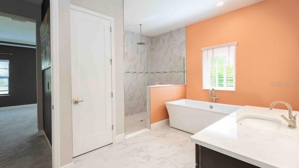 14288 Swiss Bridge Drive, Riverview, FL 33579 Photo