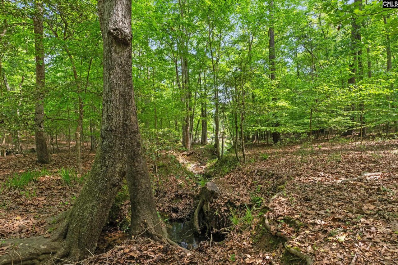 1427 Buck Hill Landing Road  Photo 76