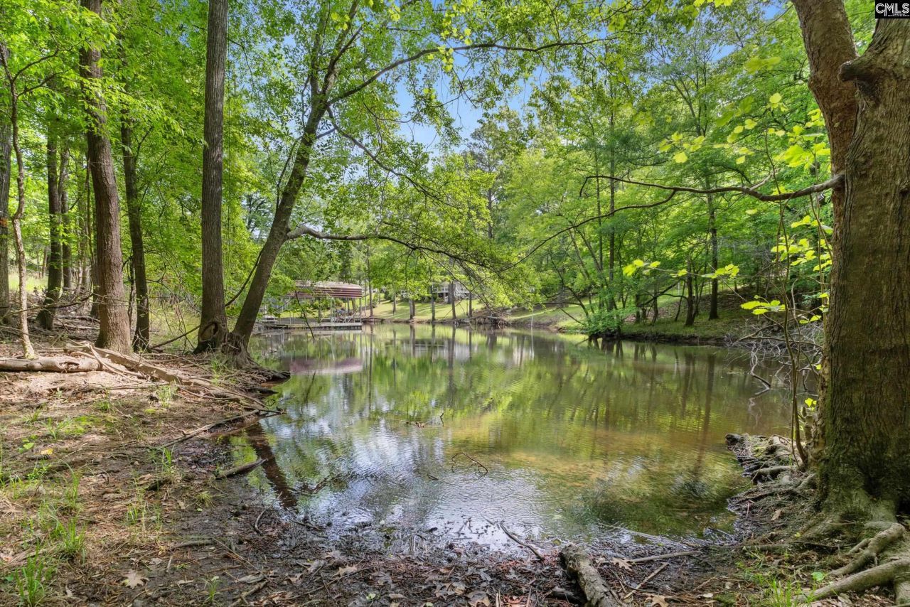 1427 Buck Hill Landing Road  Photo 78