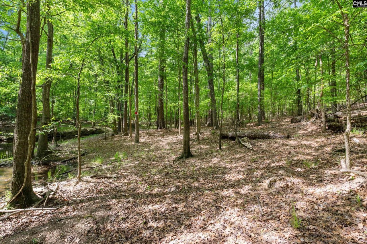 1427 Buck Hill Landing Road  Photo 79