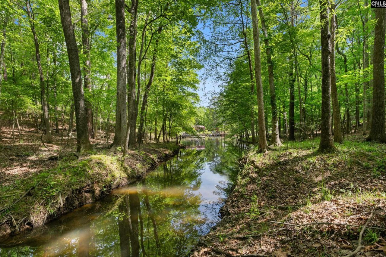 1427 Buck Hill Landing Road  Photo 80