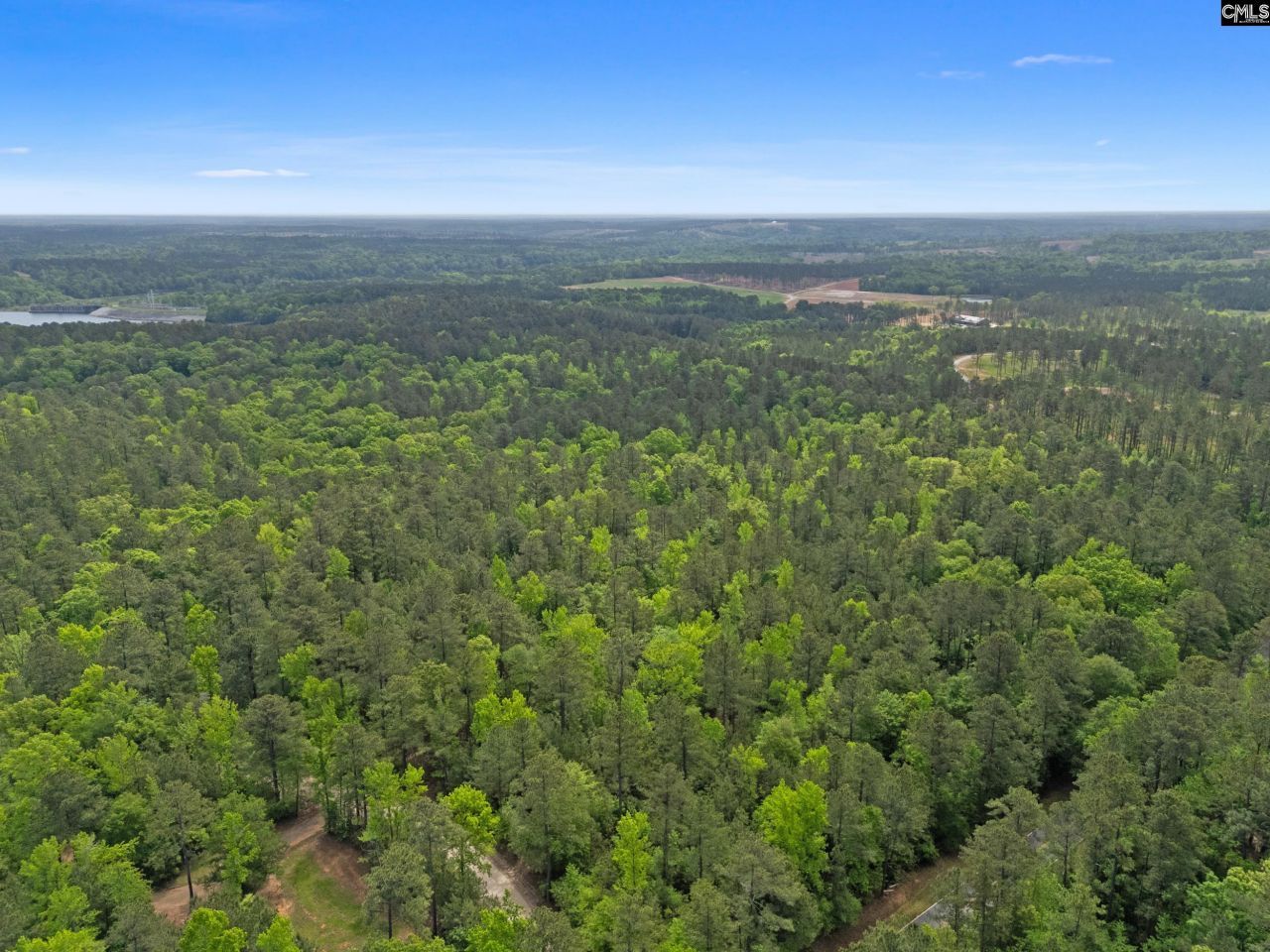 1427 Buck Hill Landing Road  Photo 92