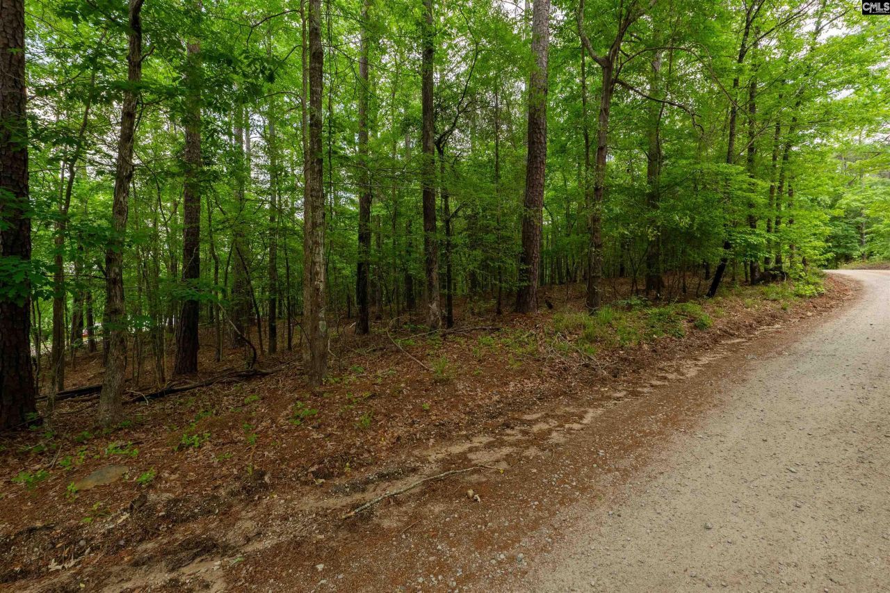 1427-1 Buck Hill Landing Road Photo 4