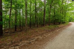 1427-1 Buck Hill Landing Road photo 4