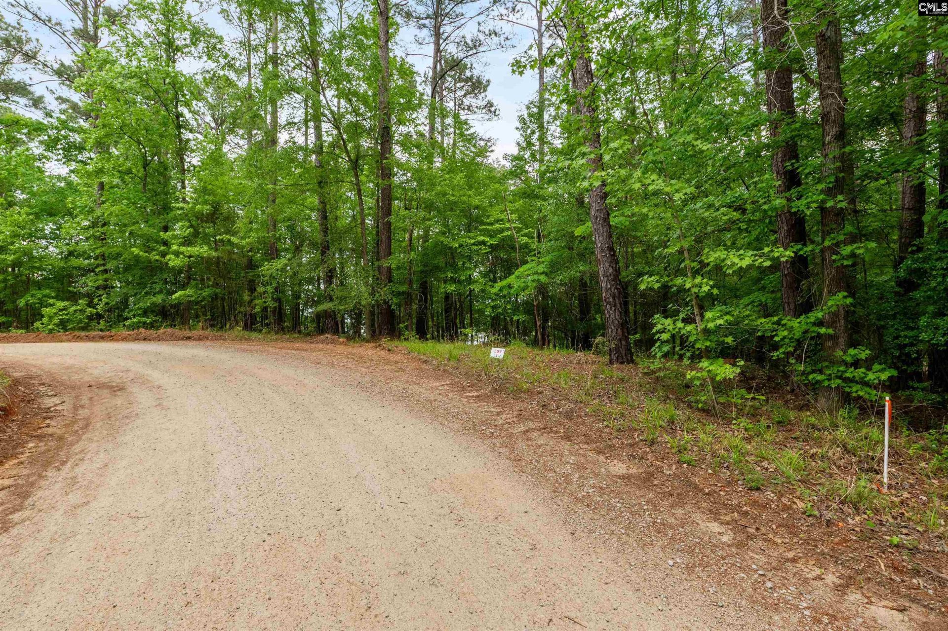 1427-1 Buck Hill Landing Road Photo 6