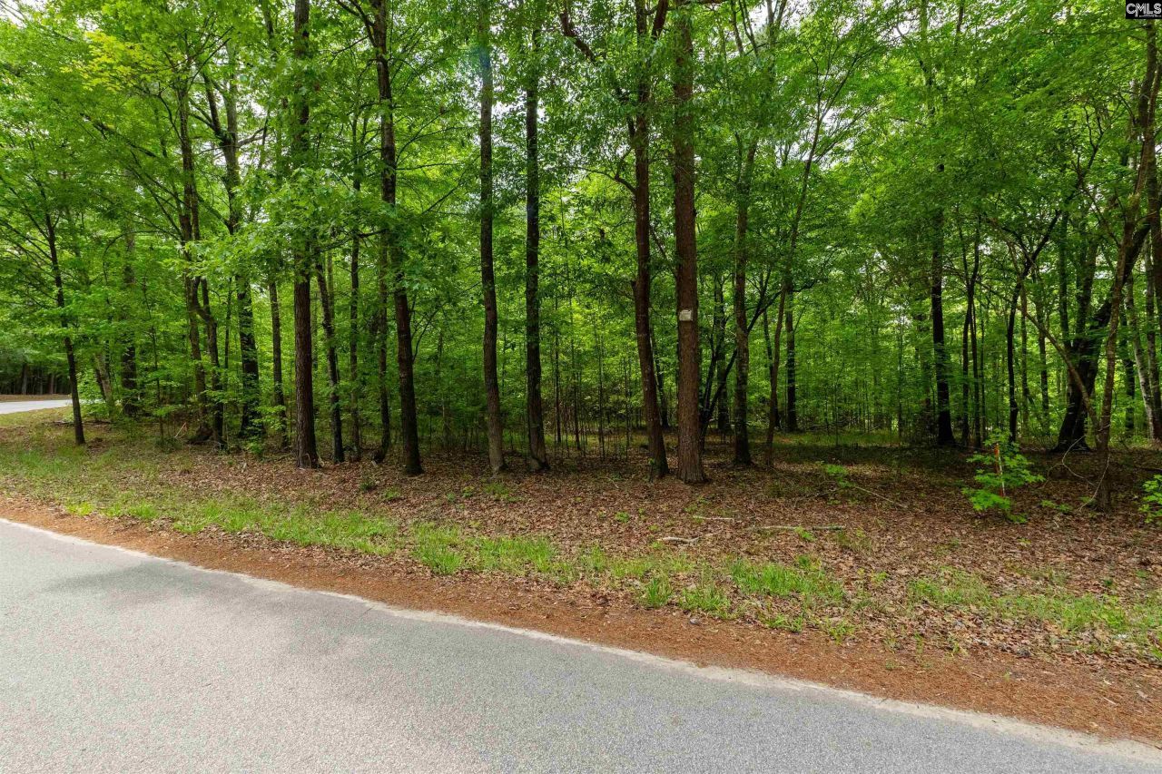 1427-3 Buck Hill Landing Road Photo 30