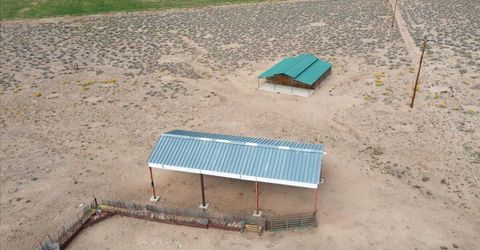 4055 Bacon Rind Road, Reno, NV 89510 Photo