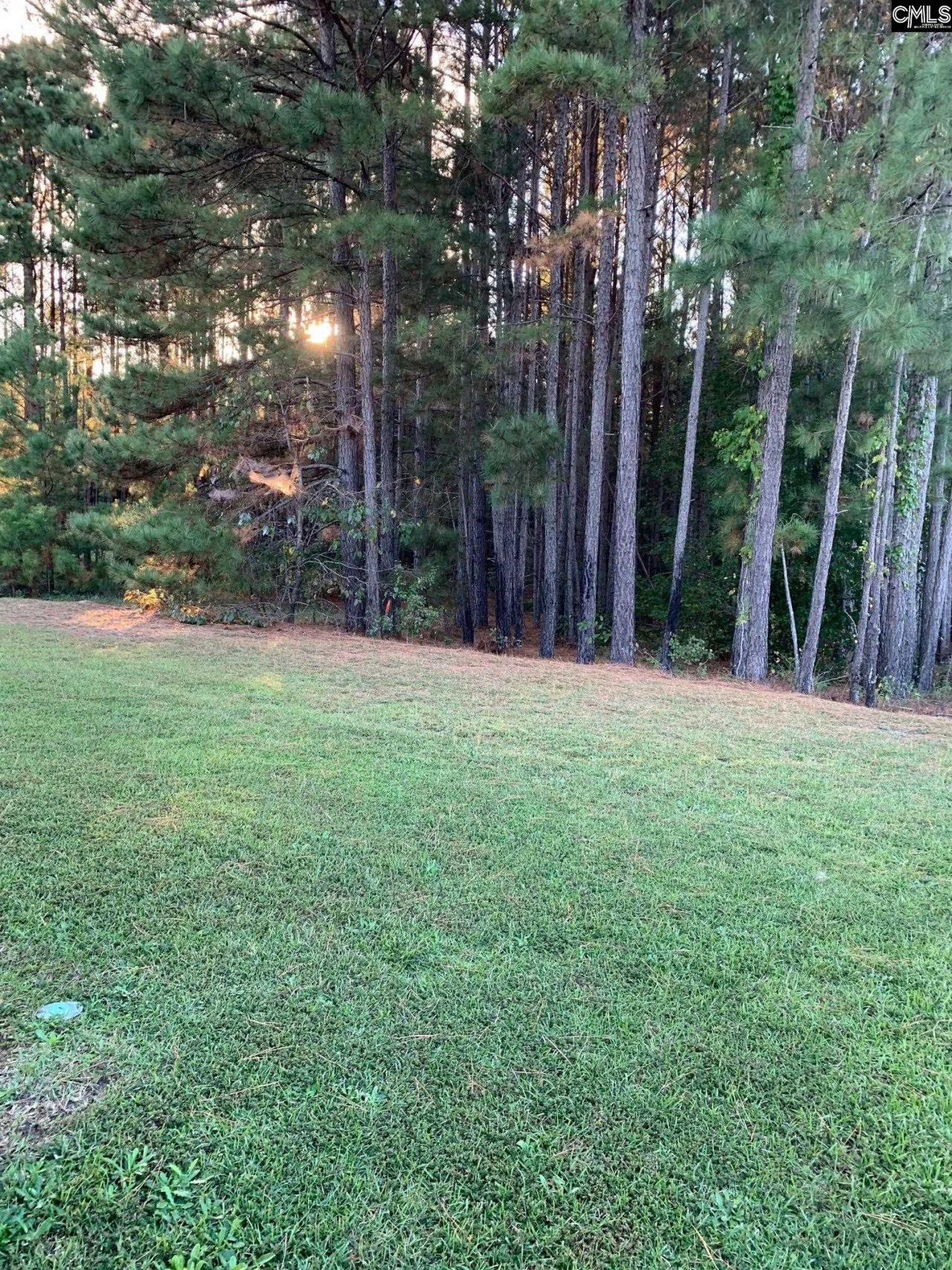 247 Merrimont Drive Photo 35