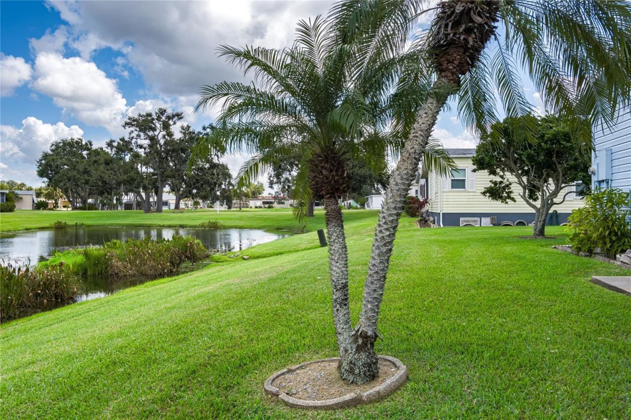 120 Mockingbird Lane, Ellenton, FL 34222 Photo