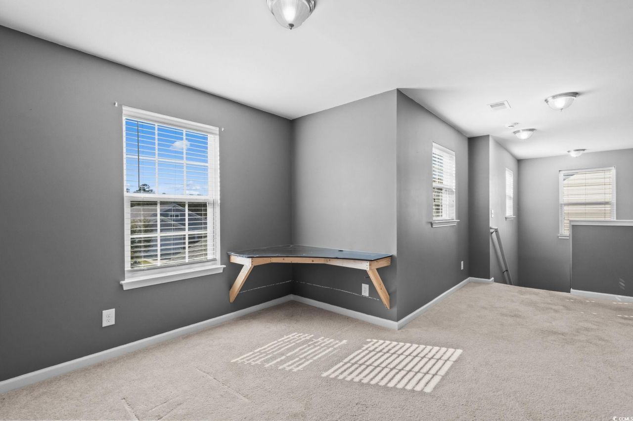 1169 Bethpage Dr. Photo 24