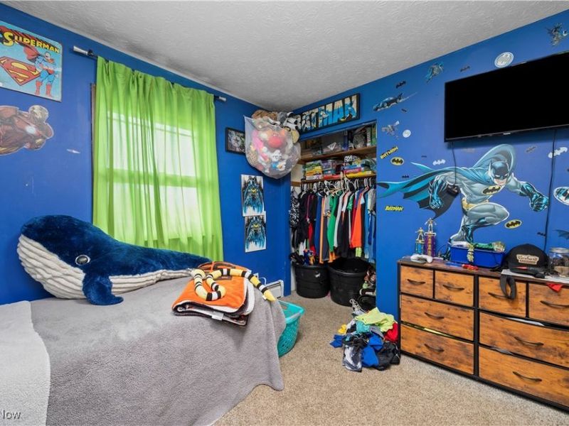 8802 Mason Road, Castalia, OH 44824 Photo 26