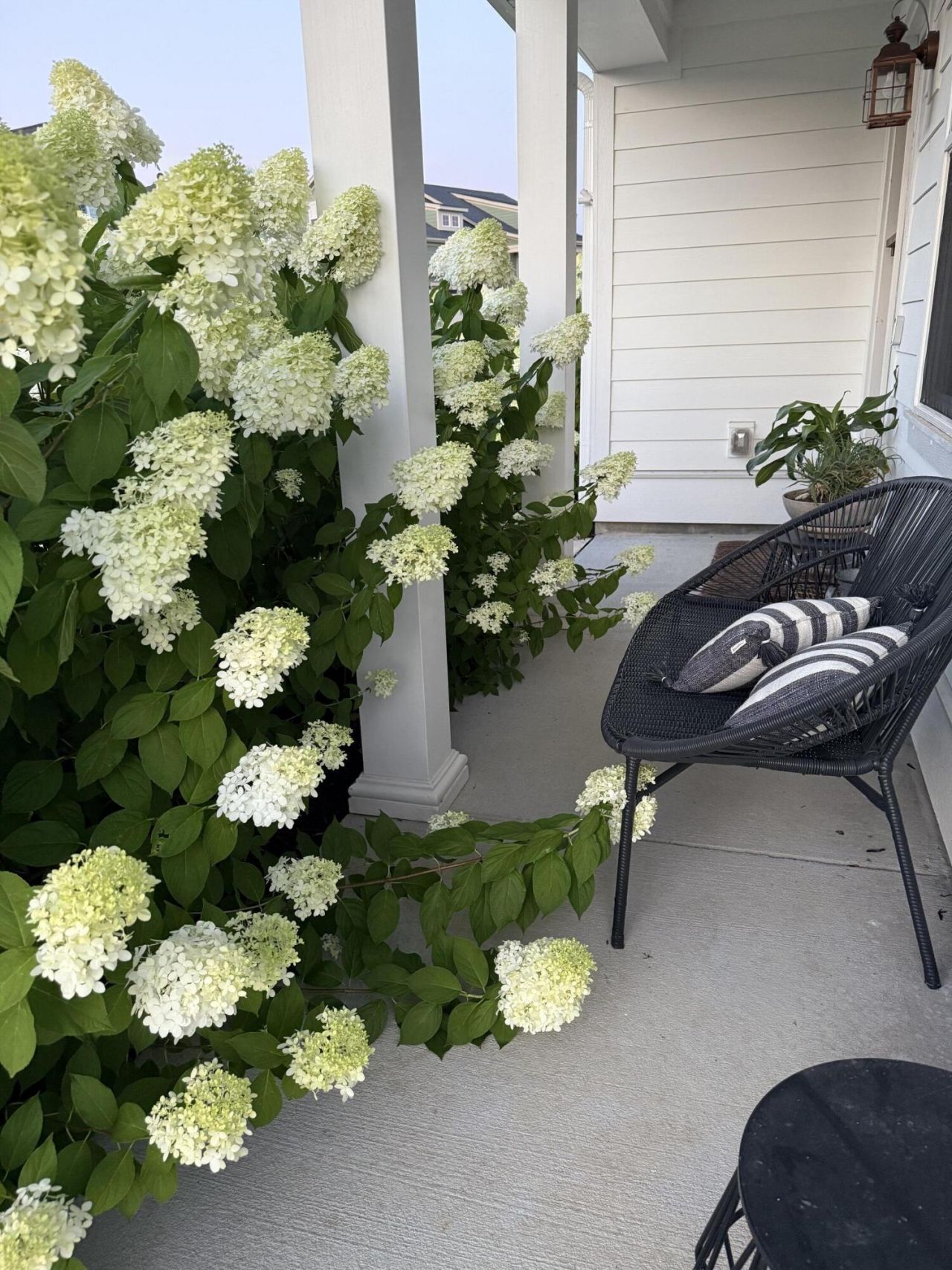 575 Pendleton Drive Photo 4