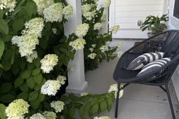 575 Pendleton Drive photo 4