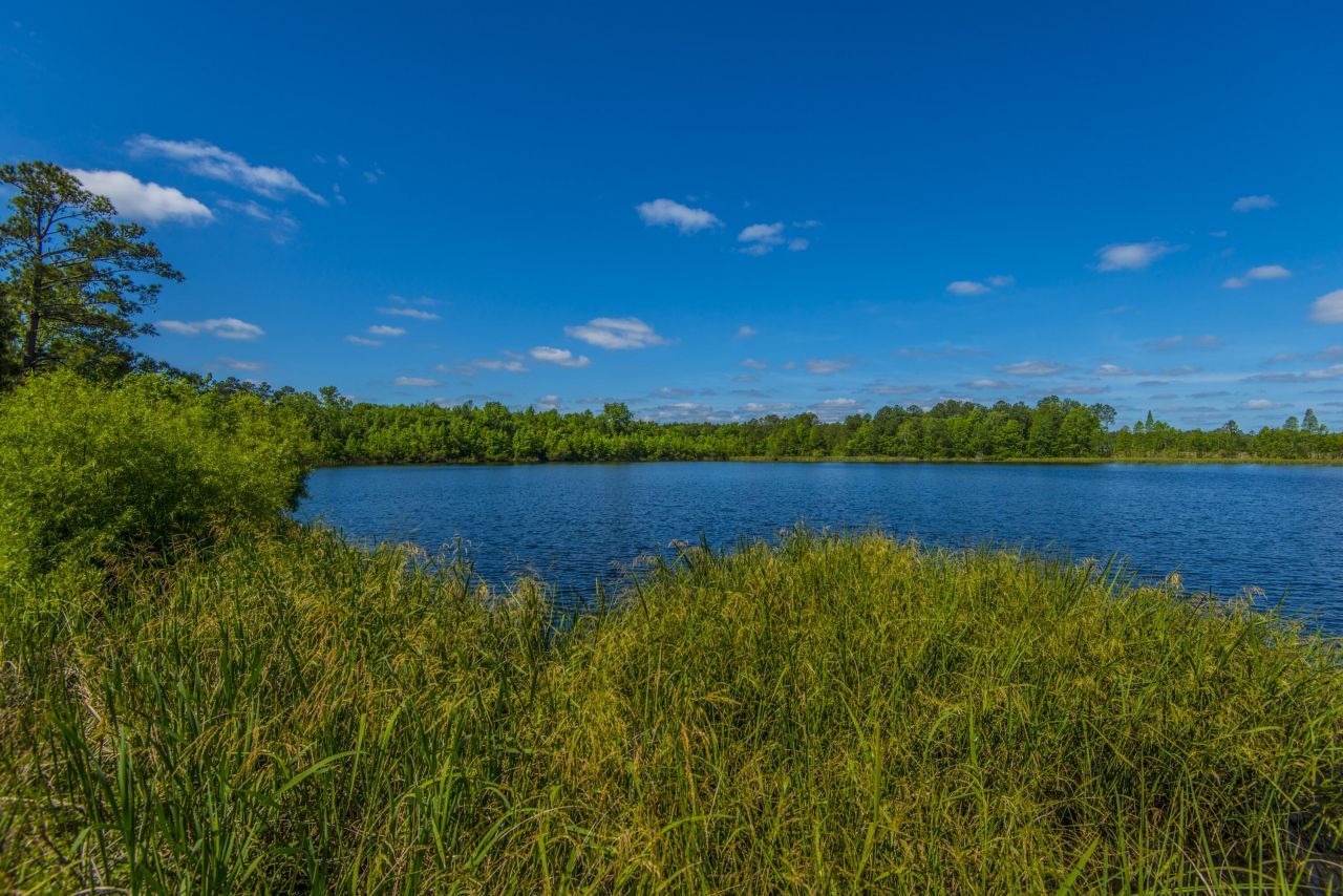 575 Pendleton Drive Photo 52