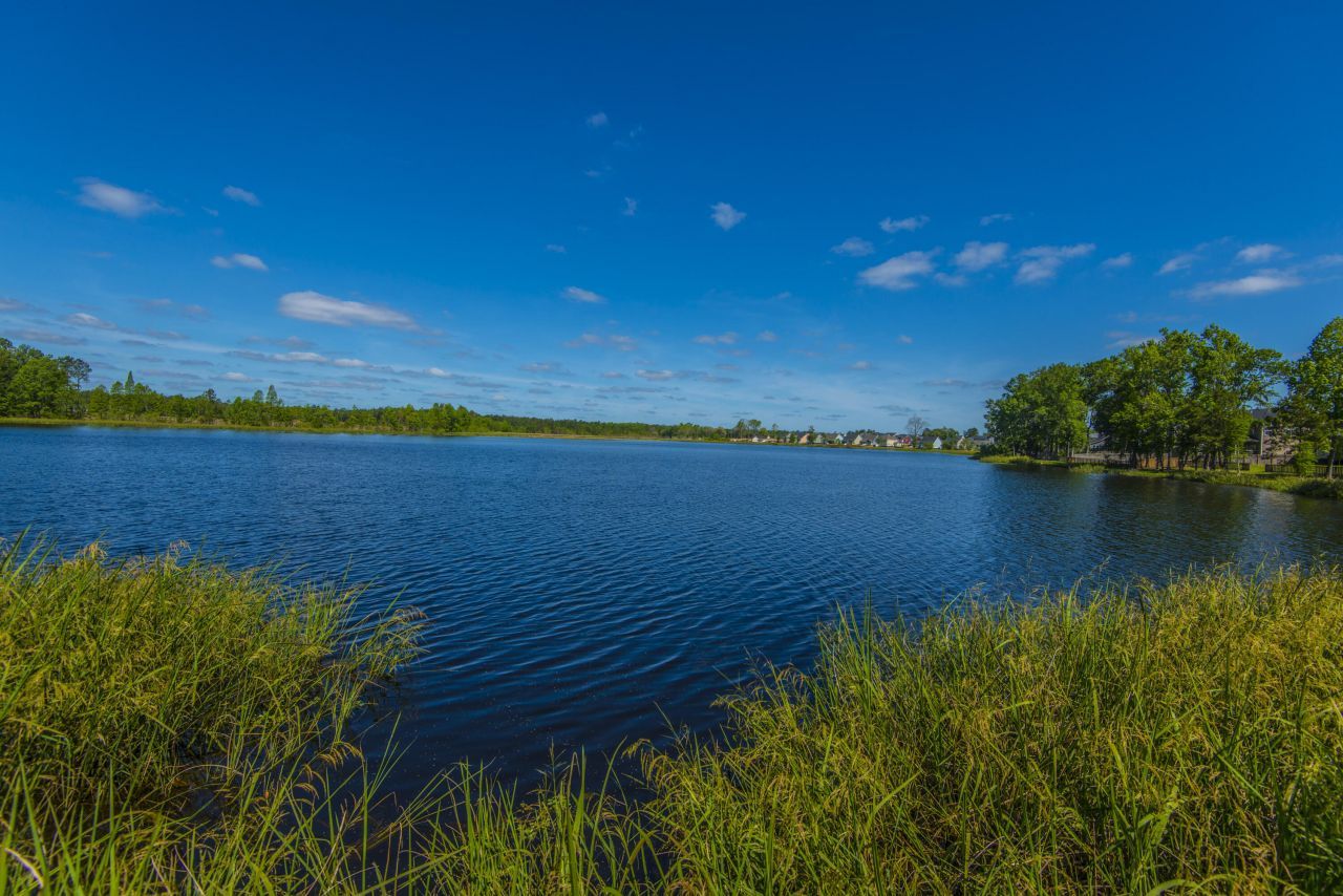 575 Pendleton Drive Photo 53