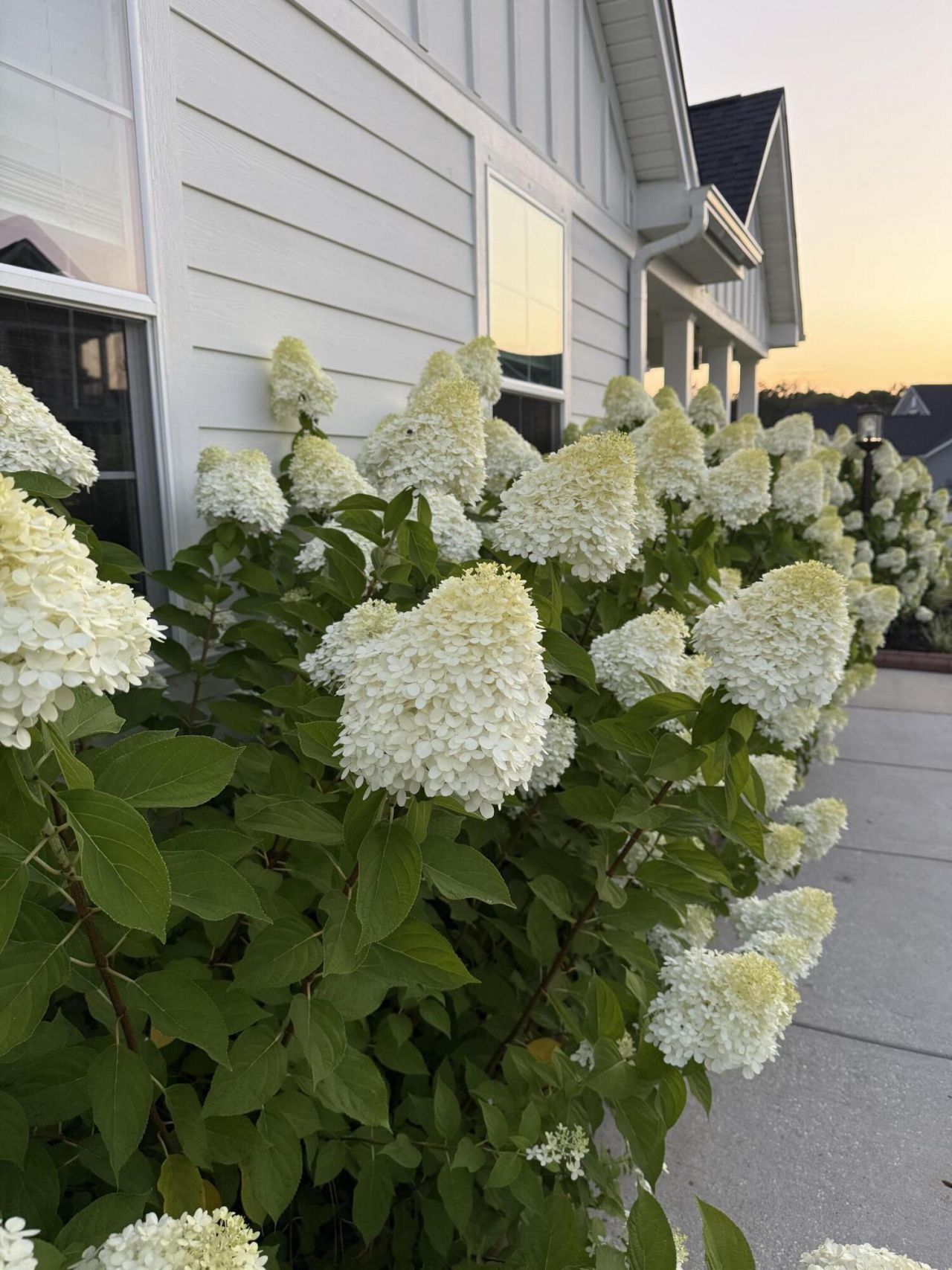 575 Pendleton Drive Photo 55