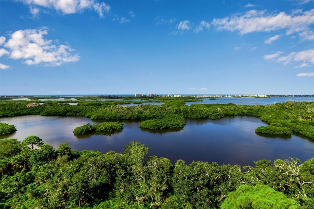 393 N Point Road, Unit 1002, Osprey, FL 34229 Photo