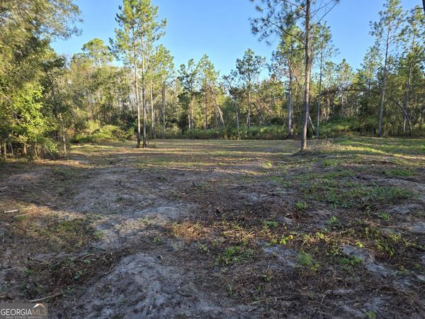 600 Alton Lawson Road, Adrian, GA 31002