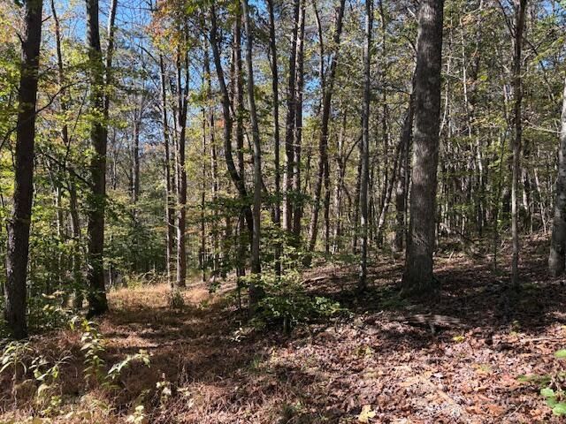 9847 Stage Road, Logan, OH 43138 Main Photo