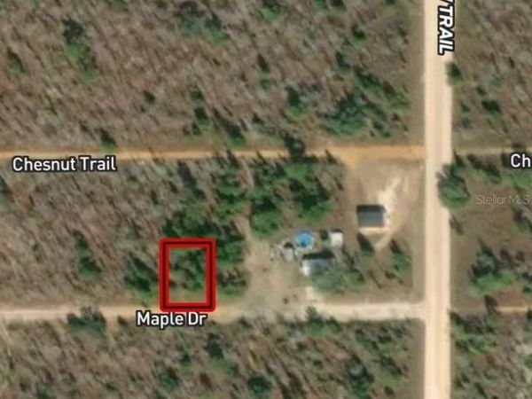 LOT 46 & 46 MAPLE DRIVE, INTERLACHEN, FL 32148