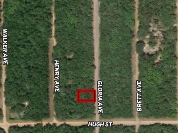 LOT 20 GLORIA AVENUE, INTERLACHEN, FL 32148