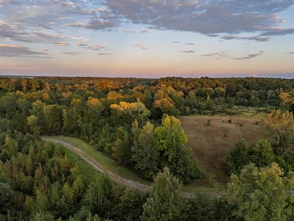 TBD FM 1998, Karnack, TX 75661