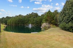 220 Palm Cove Circle photo 4