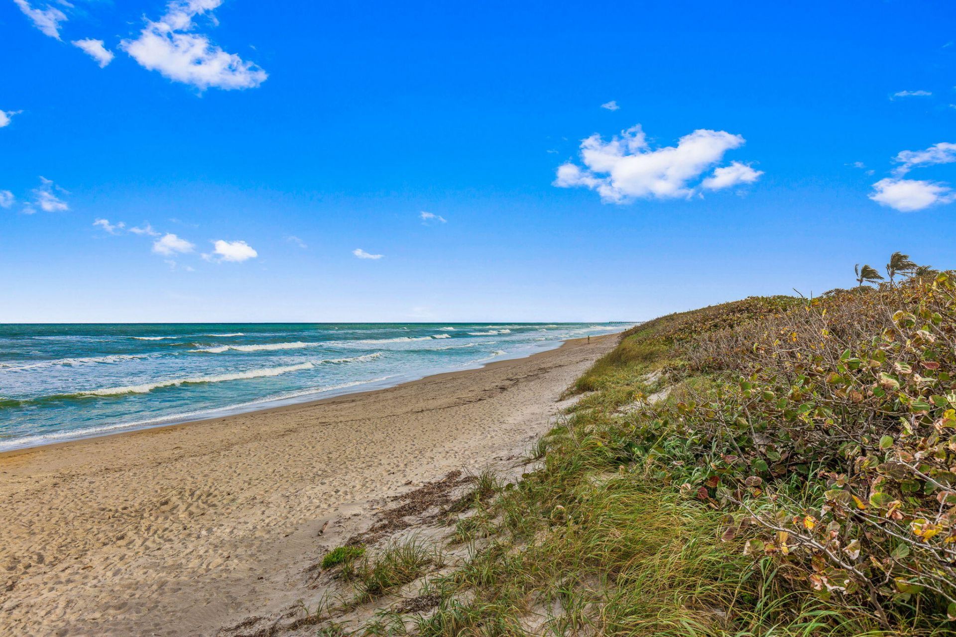 2000 S Highway A1a Highway, Unit N603, Jupiter, FL 33477 Photo