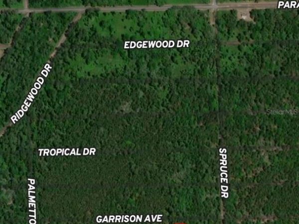 131 GARRISON AVENUE, GEORGETOWN, FL 32139