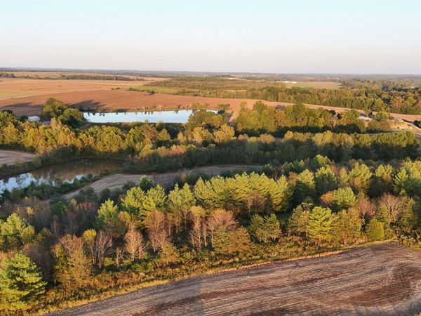 CR 600 S, Cannelburg, IN 47519
