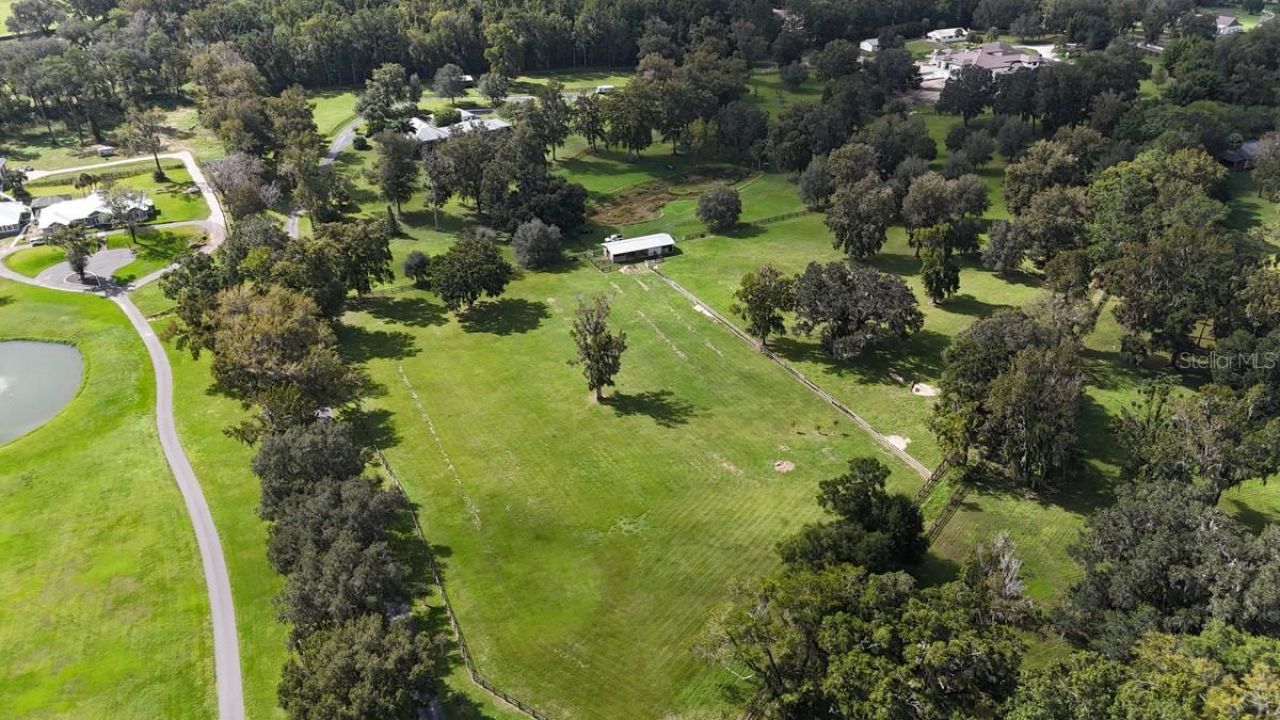 1212 SW 80th Street, Ocala, FL 34476 Photo