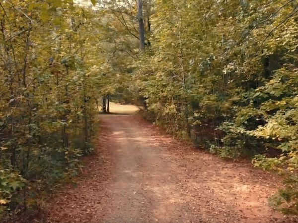 184 Tumbling Shoals Drive, Gray, GA 31032
