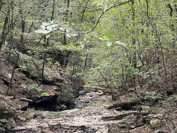 000 HWY 65, Clinton, AR 72031