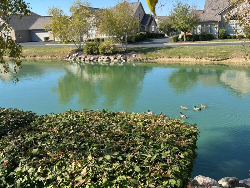 1562 Center Park Drive, Marion, OH 43302 Photo 28