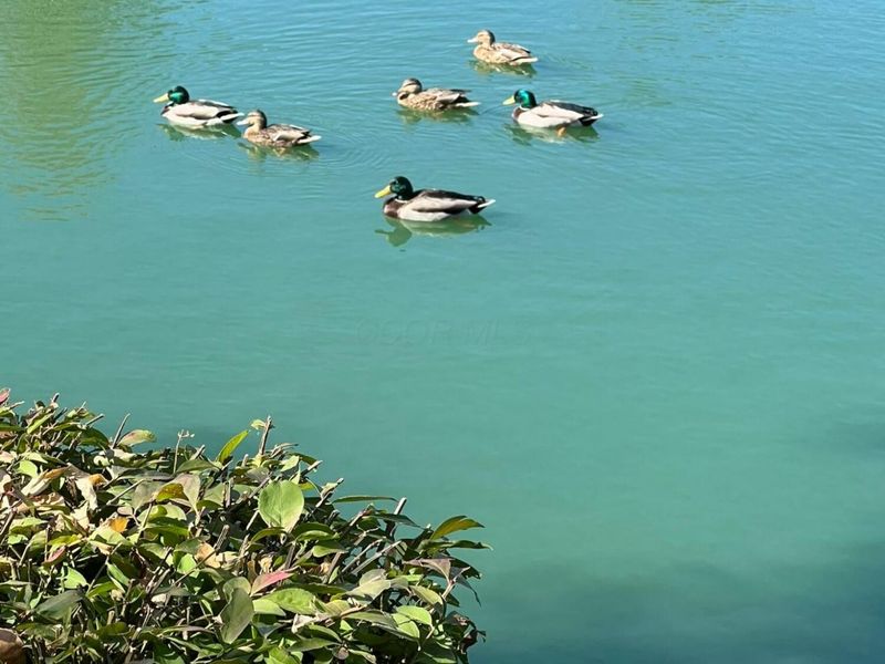 1562 Center Park Drive, Marion, OH 43302 Photo 29