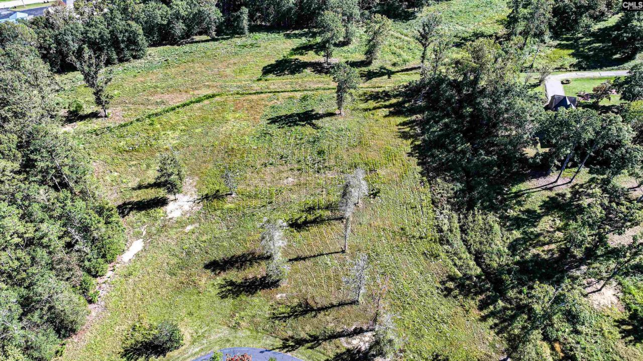 2119 Cherry Laurel Drive Photo 71